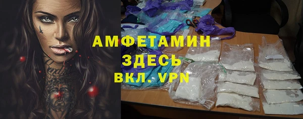 шишки Беломорск