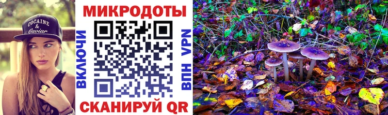 Купить закладки  Чишмы  Псилоцибиновые грибы Magic Shrooms 